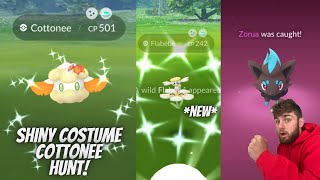 ✨Shiny Costume Cottonee amp Shiny Flabebe Hunt NEW Verdant Wonders Event In Pokemon Go✨ [upl. by Finah]