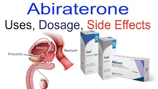 Understanding Abiraterone Uses Dosage and Side Effects Explained [upl. by Yllier]