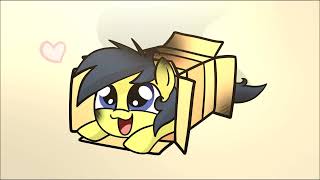 Zippity Zap Sliding into a box FW [upl. by Rawde]