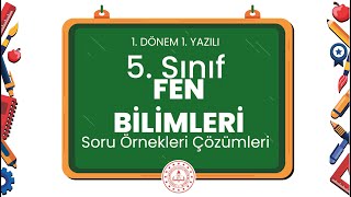 5 Sınıf Fen Bilimleri 1 Dönem 1 Yazılı Soru Örnekleri Çözümleri [upl. by Eiresed421]