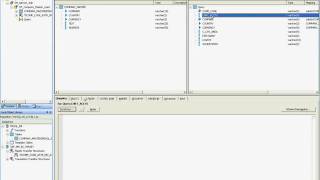 Demo of SAP BusinessObjects Data Services and SAP NetWeaver BW [upl. by Aikemot]