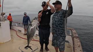 EPIC Bluefin Tuna Trip on the Polaris Supreme  Part III Day 3 fish tuna fishing [upl. by Lydia]