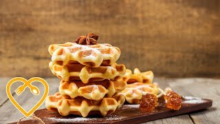 Beligsche Waffeln  Gesunde Rezepte zum Abnehmen  Mein gesunder Ernährungsplan [upl. by Bram]