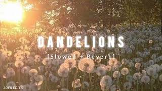 Ruth B  Dandelions Slowed  Reverb  LOFII EDITX [upl. by Samaj]