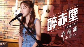 《醉赤壁》林俊傑cover by 許靖韻 小背心 Angela Hui [upl. by Eanert]