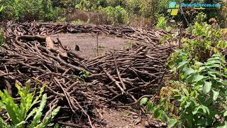 Koukouboui la communauté déterminée à redonner à lenvironnement sa vitalité [upl. by Hoffmann282]