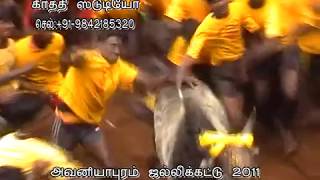 Jallikattu 2011Avaniyapuram Part  03 [upl. by Lilybel]