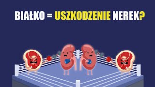 Diety KETO niszczą NERKI a wysokobiałkowe jeszcze bardziej Mit czy zagrożenie [upl. by Pitt258]