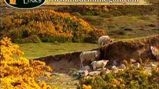 Dooks Golf Club Ireland  Hidden Links Golf  Ireland Golf Trip [upl. by Rother]