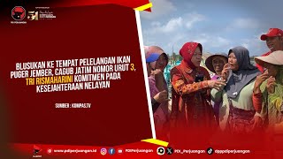 Blusukan ke Tempat Pelelangan Ikan Puger Jember Tri Rismaharini Komitmen Pada Kesejahteraan Nelayan [upl. by Gally]