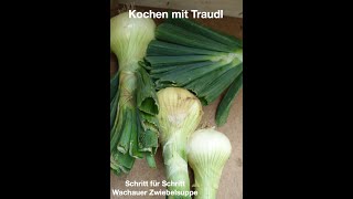 Hier ist die kurze Version der leckeren Wachauer Zwiebelsuppe Nachkochen lohnt sich [upl. by Yssirc]