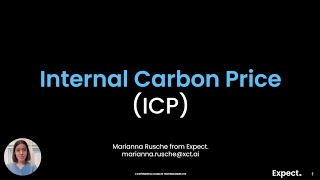 Internal Carbon Prices will help your Organisation reach Net Zero [upl. by Giule143]