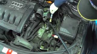 Automatic oil Change DSG [upl. by Yert783]