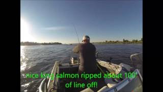 sockeye fishing columbia river pasco wa [upl. by Aminta]