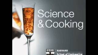 Sousvide Cooking a State of Matter  Lecture 2 2010 [upl. by Poll]