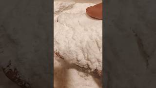 Satisfying MOTHBALL powder ASMR⚪⚪⚪⚪✨🧿mothballs asmr ytshorts trending shorts viral [upl. by Wilfred462]