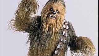 Chewbacca Noise [upl. by Niveb]