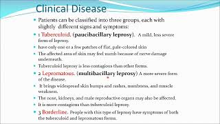 Mycobacteria TB Leprosy PART2 by Dr Abdulrahman Alhusaini [upl. by Adlitam]