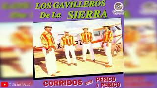 LOS GAVILLEROS DE LA SIERRA   DISCO COMPLETO  CORRIDOS ENTRE PERICO Y PERICO [upl. by Torr]