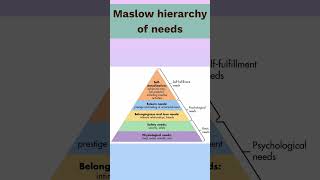 Maslow Hierarchy of Needs MCQ shorts education hptet [upl. by Xet]