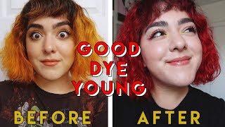 Dyeing My Hair Red  Good Dye Young Rock Lobster [upl. by Obala128]