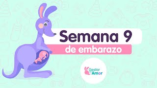 Semana 9 de embarazo ¡Tu pancita empieza a crecer [upl. by Ordnasela255]