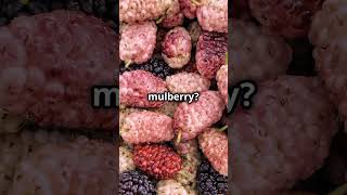 what is Morula morula embryonicdevelopment mulberrycell [upl. by Ahtnicaj]