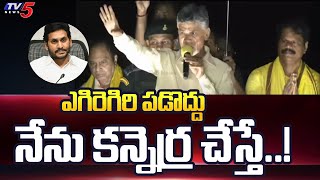 Chandababu Naidu Powerful Warning to YS Jagan  TDP Public Meeting in Yerragondapalem  Tv5 News [upl. by Latif]