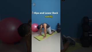 Hips and Lower Back Stretches before Workout  Daily Mobility Routine stretching stretchroutine [upl. by Maibach401]