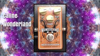 Caline Wonderland Ambient Reverb Pedal Demo [upl. by Gollin209]