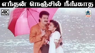 Enthan Nenjil Neengatha 4K இசைஞானி இசையில் K J யேசுதாஸ் S ஜானகி பாடிய பாடல் எந்தன் நெஞ்சில் [upl. by Ahsinrad]