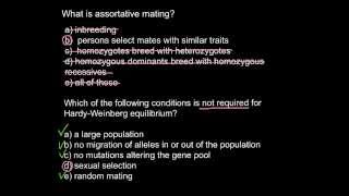 What is assortative mating [upl. by Graig46]