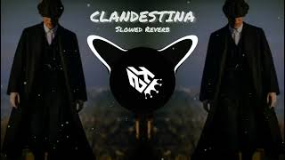 Clandestina slowed reverbbassboosted music slowedreverb [upl. by Enaujed]