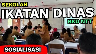 Sosialisasi Sekolah Ikatan Dinas dari BKD NTT [upl. by Hollis]