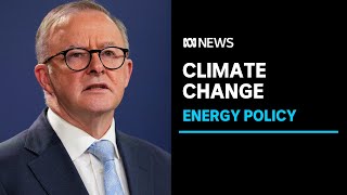 IN FULL PM Anthony Albanese pitches to repair Australias reputation on climate change  ABC News [upl. by Ireva]