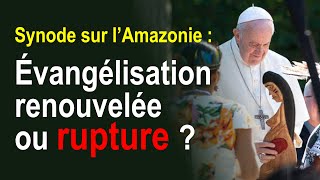 Évangélisation renouvelée ou rupture   Le Synode sur l’Amazonie [upl. by Madalyn]