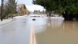 See How Bad The Flooding Was In Centralia [upl. by Novyad739]