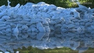 Hochwasser in Halle Höchster Pegel seit 400 Jahren  DER SPIEGEL [upl. by Ameekahs725]