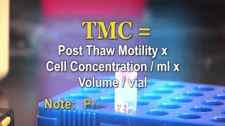 Fairfax Cryobank Thaw Instructions [upl. by Roderic826]