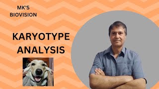 Karyotype Analysis [upl. by Cavil]