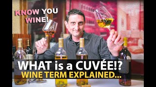 What is a Cuvée Wine Term Explained  Lets NOT STOP Sharing about VINO [upl. by Ordway]