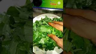 thota kura fry thotakura recipe fry shorts ytshorts [upl. by Nariko]