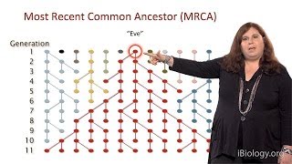 Sarah Tishkoff U Pennsylvania Part 1 African Genomics Human Evolution [upl. by Veejar946]