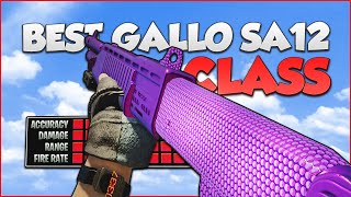 This Is The Best Gallo SA12 Class In Cold War Zombies [upl. by Ydaf]