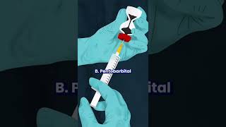 Quiz Time  Injectable anesthetics 5 pharmaquiz anesthesia [upl. by Muriel418]