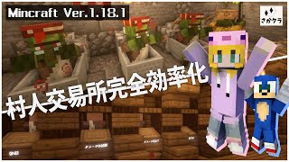 【Minecraft】これが最強のゾンビ化治療施設だ！！（Java118）さかた家＠マイクラ実況 [upl. by Orgell387]