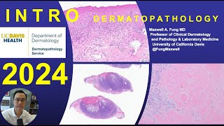 DERMATOPATHOLOGY Introduction to Dermatopathology 2024 [upl. by Ielerol]