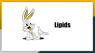 Lipids 2 [upl. by Reggy234]