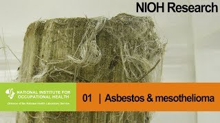 Asbestos exposure in patients with malignant mesothelioma [upl. by Naitirb]