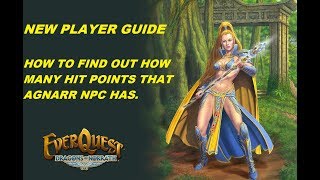 EVERQUEST GUIDE  How to find out how many hit points that Agnarr NPC has 1080p [upl. by Enaerb]